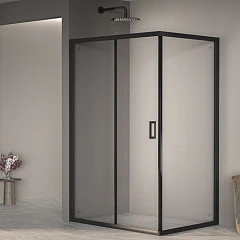 Душевой уголок RGW Passage PA-245-B 100*90*190 профиль черный матовый без поддона Душевой уголок RGW Passage PA-245-B 100*90*190 профиль черный матовый без поддона