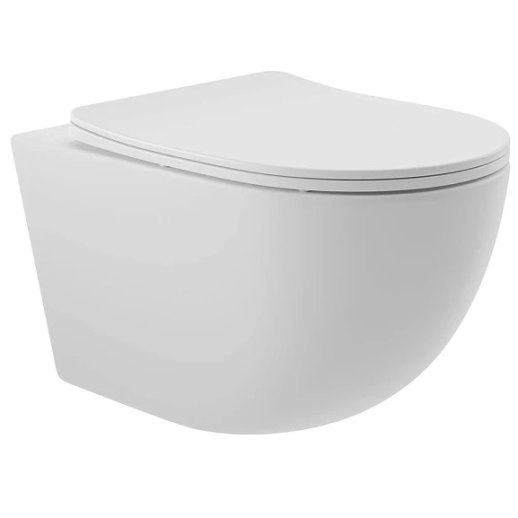 Подвесной унитаз Aqueduto Ovo 36*52,5 безободковый с крышкой-сиденьем микролифт белый матовый